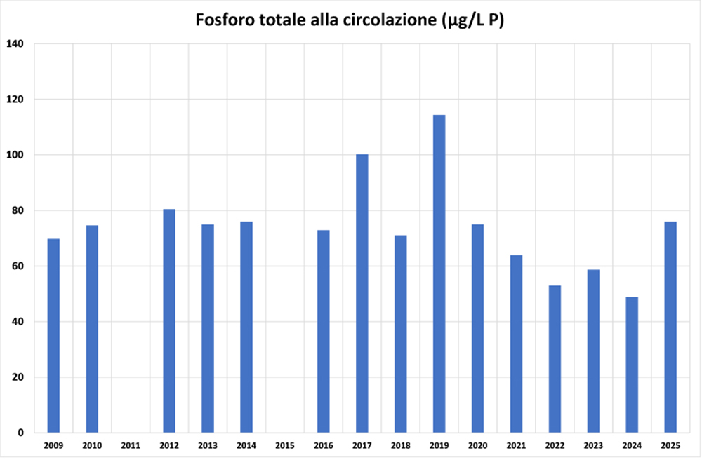 28-03-2025-fosforo-circolazione.jpg