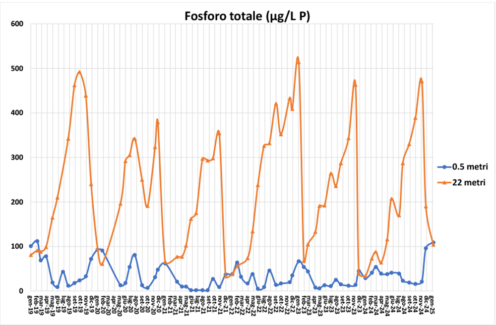 28-03-2025-fosforo-superficie-fondo.jpg