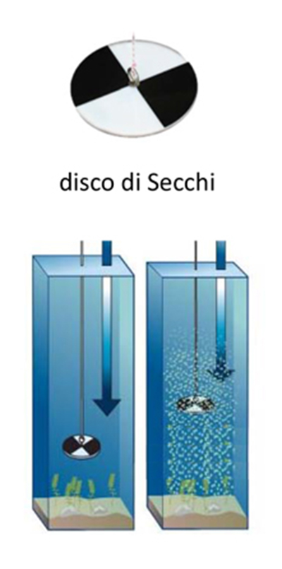 disco-sechi.jpg