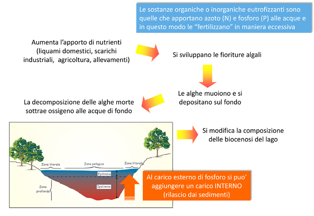 eutrofizzazione-1.jpg