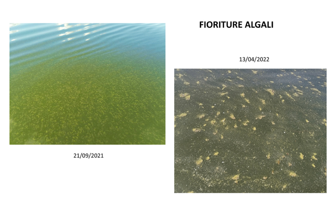 imm-fioriture-2.jpg