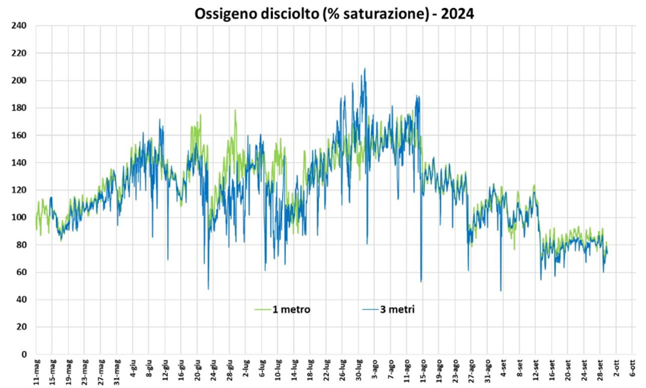 ossigeno-mag-ott-2024.png